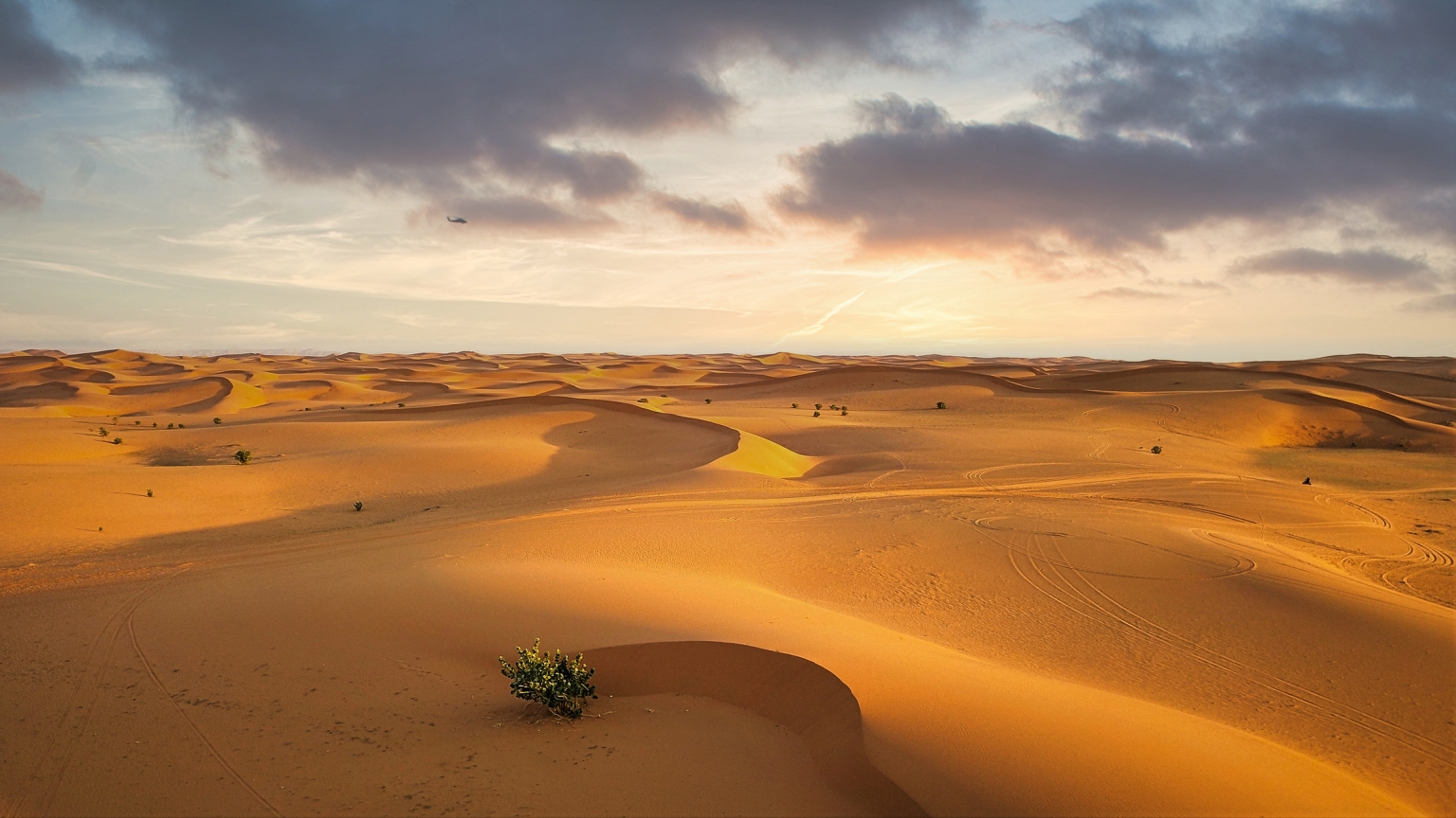 Ad-Dahna Desert