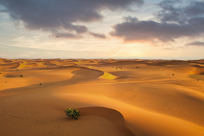 Ad-Dahna Desert