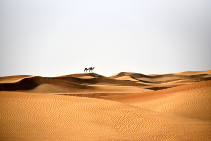 Al Badayer Desert