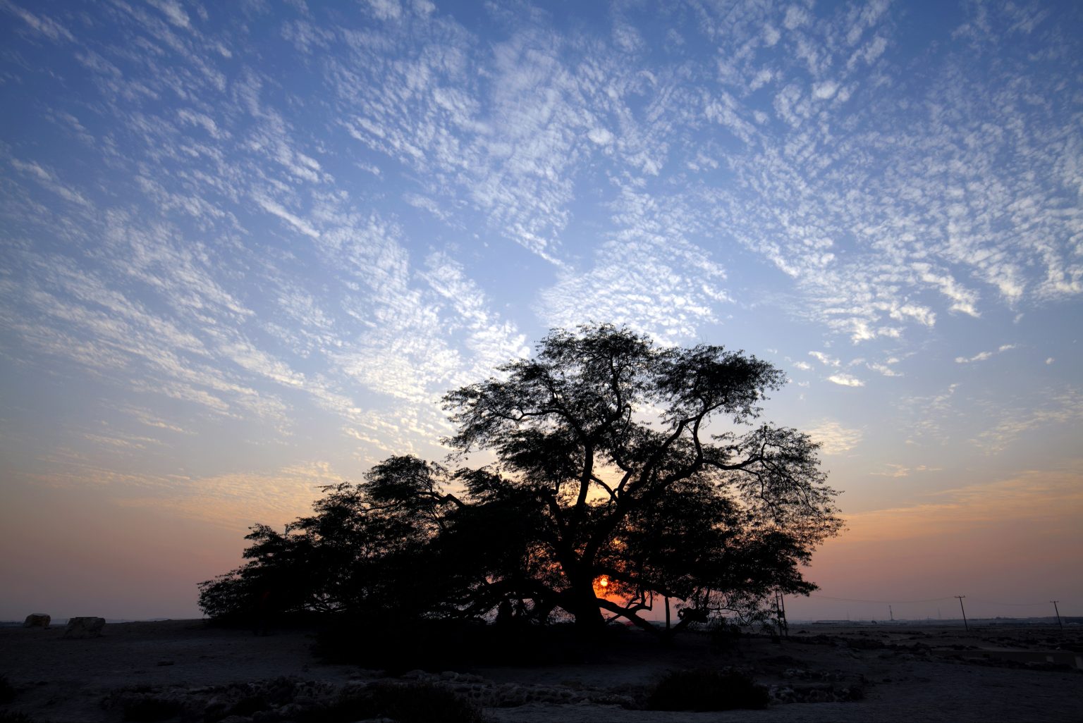 Bahrain Desert Travel Tips