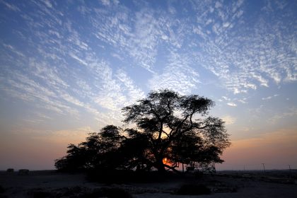 Bahrain Desert Travel Tips