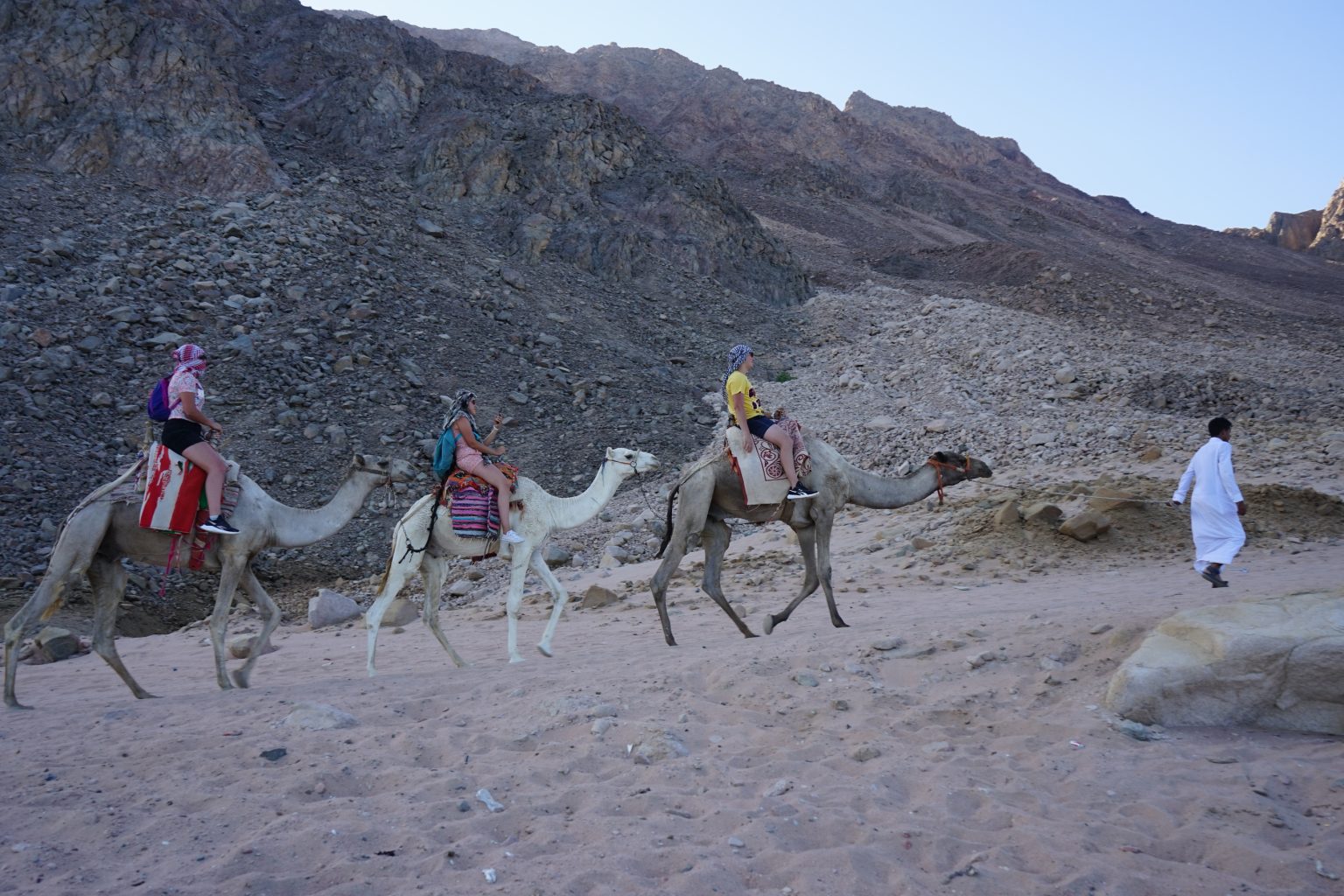 Camel Rides Through Egypt’s Desert