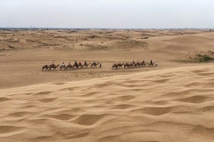 Camel Trekking in China