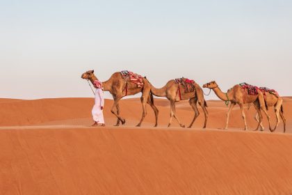 Camel Trekking in Oman