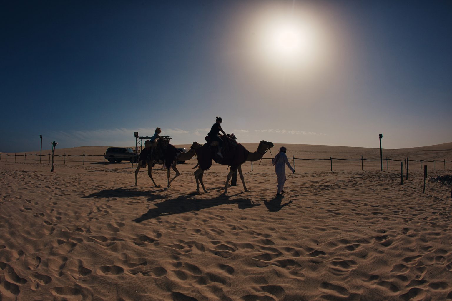 Camel Trekking in Qatar