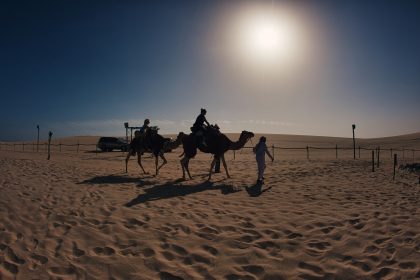 Camel Trekking in Qatar