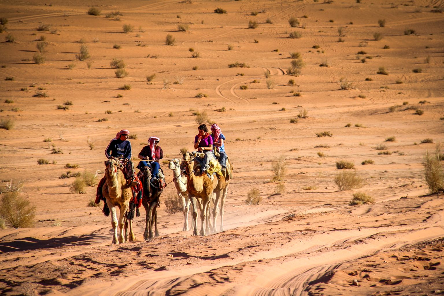 Camel Trekking in Wadi Rum