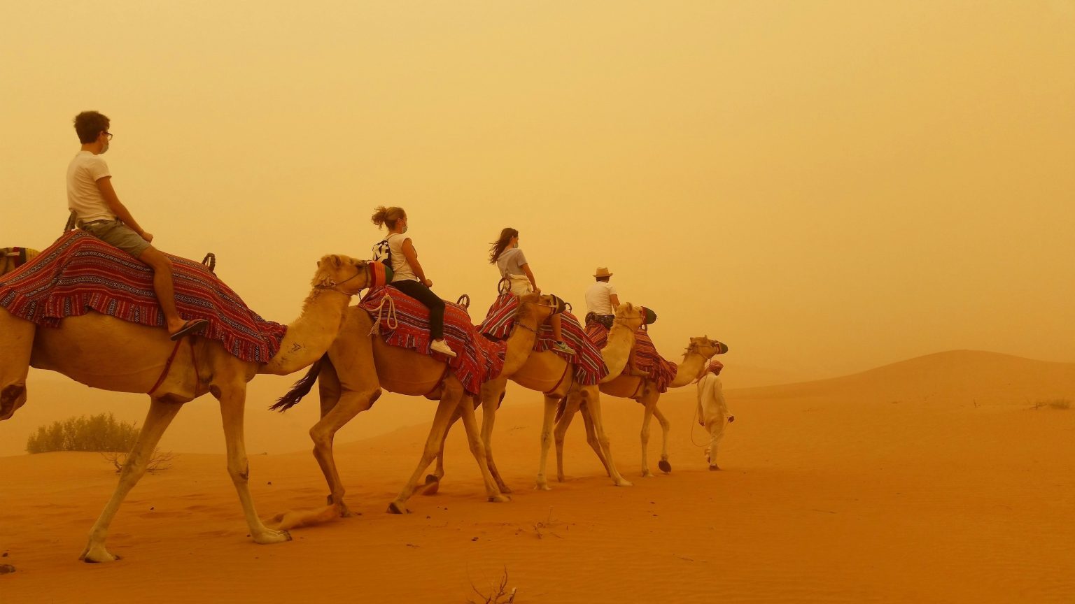 Camel Trekking in the UAE Desert