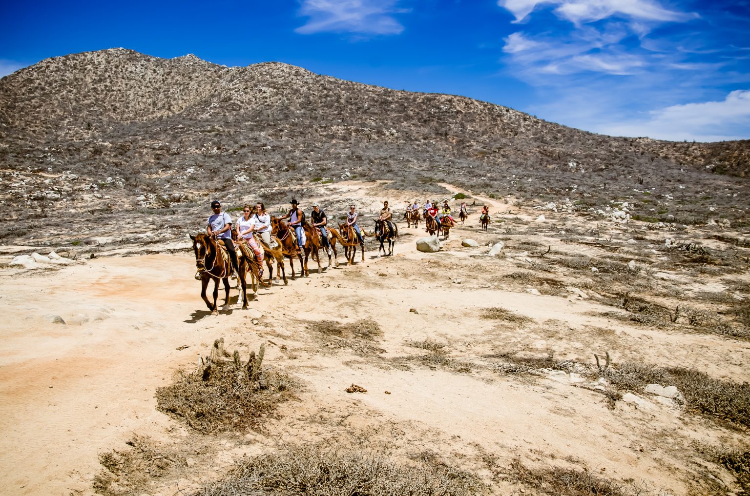 Desert Adventures in Baja California