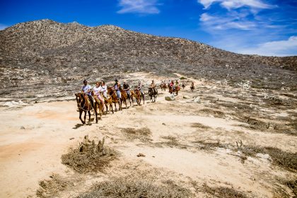 Desert Adventures in Baja California