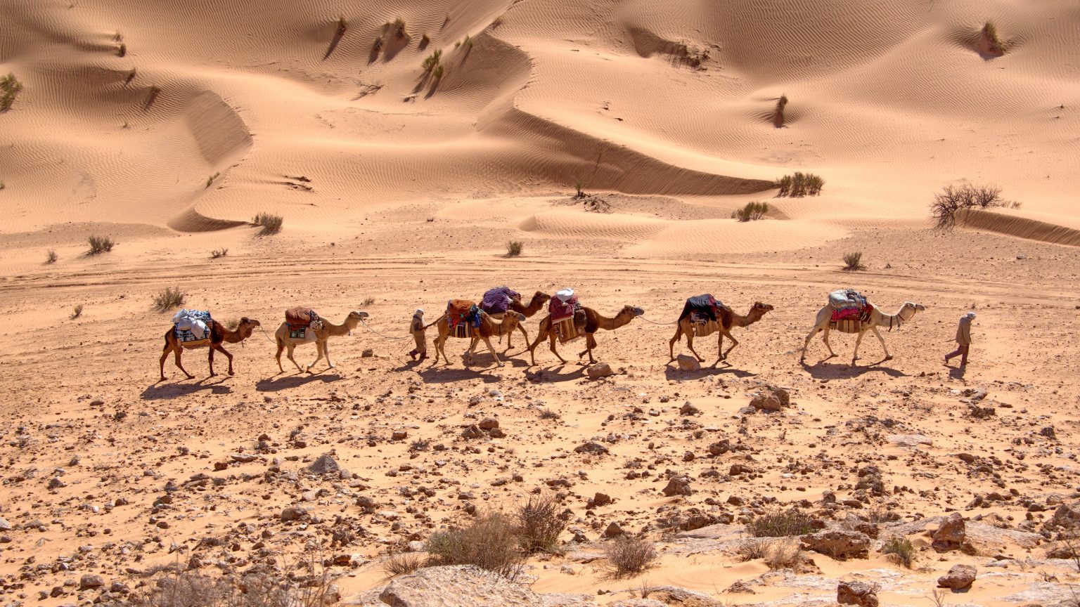 Douz Desert