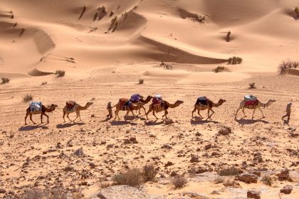 Douz Desert