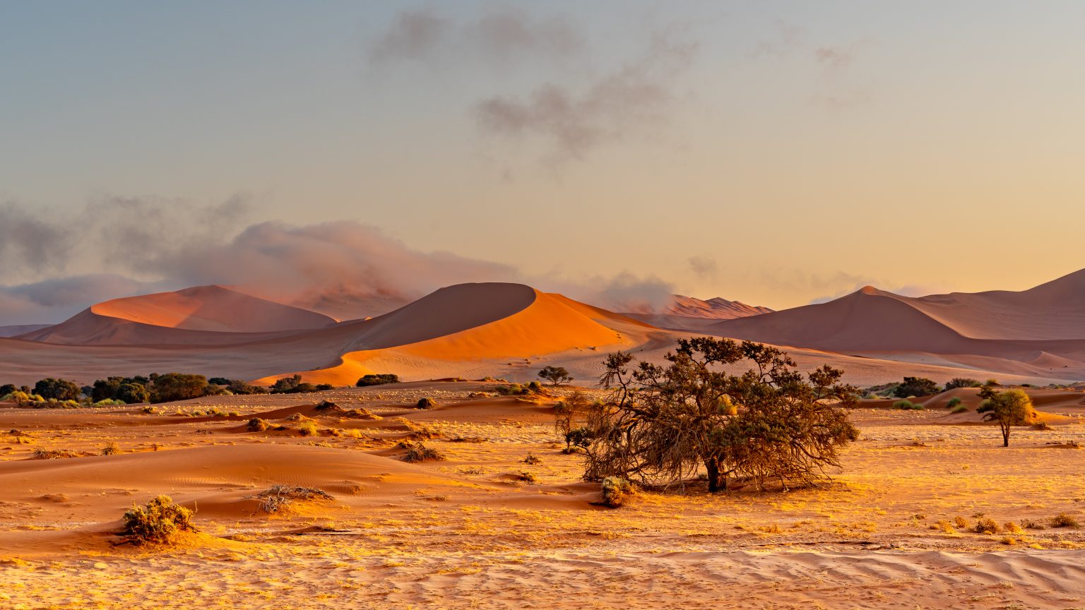 Dunes of Sossusvlei