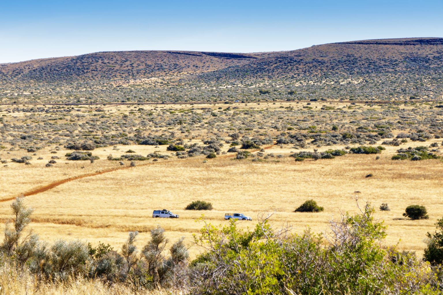 Exploring Kalahari South Africa