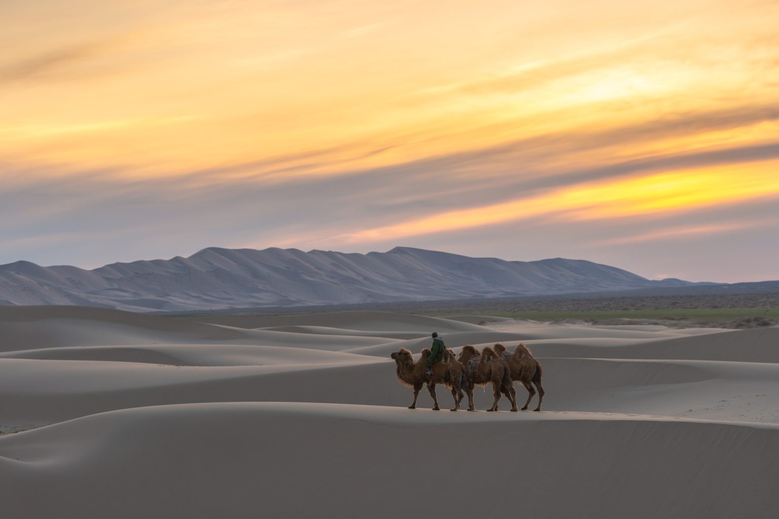Exploring the Gobi Desert