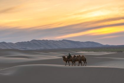 Exploring the Gobi Desert