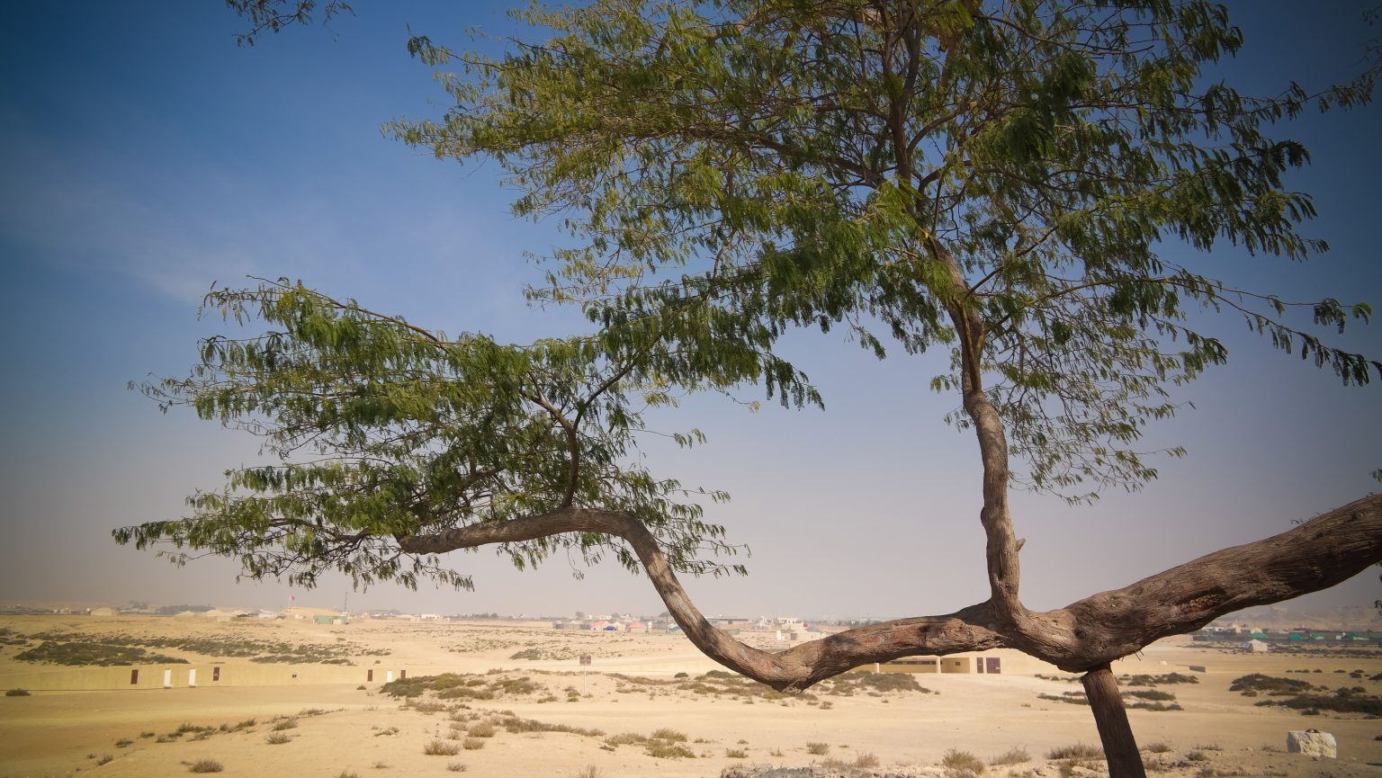 Jebel Dukhan