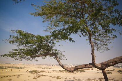 Jebel Dukhan