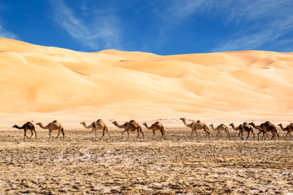 Liwa Desert
