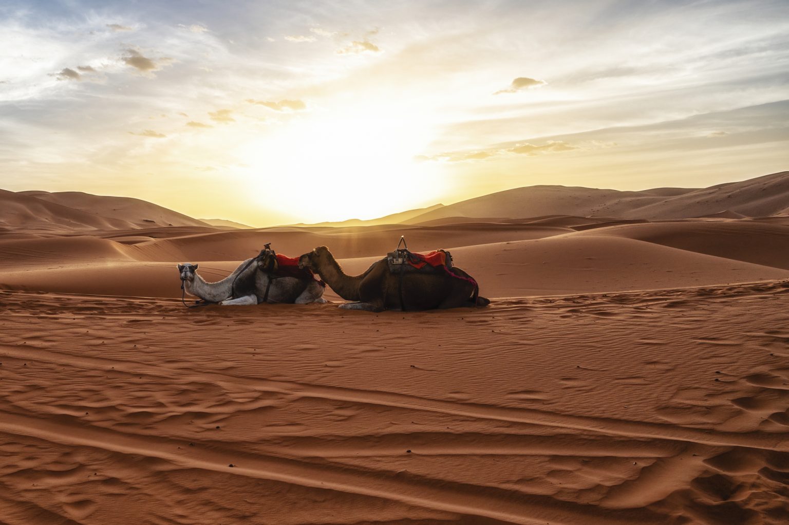 Merzouga Desert