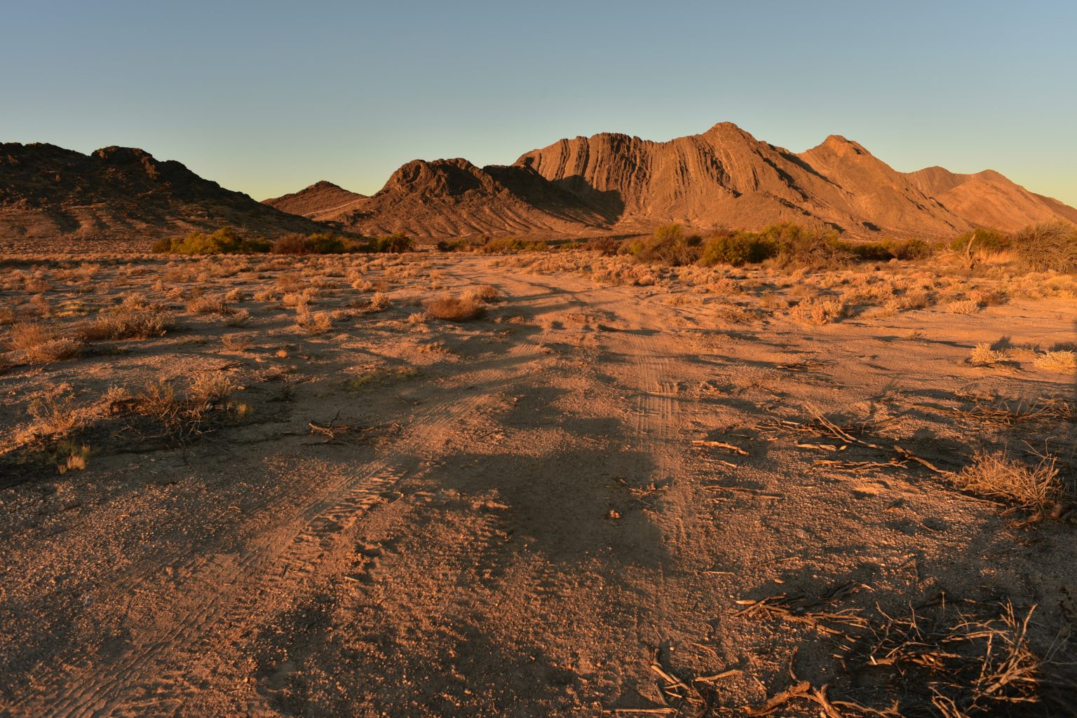 Mojave Desert