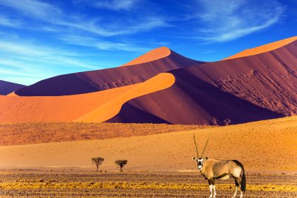 Namib Desert