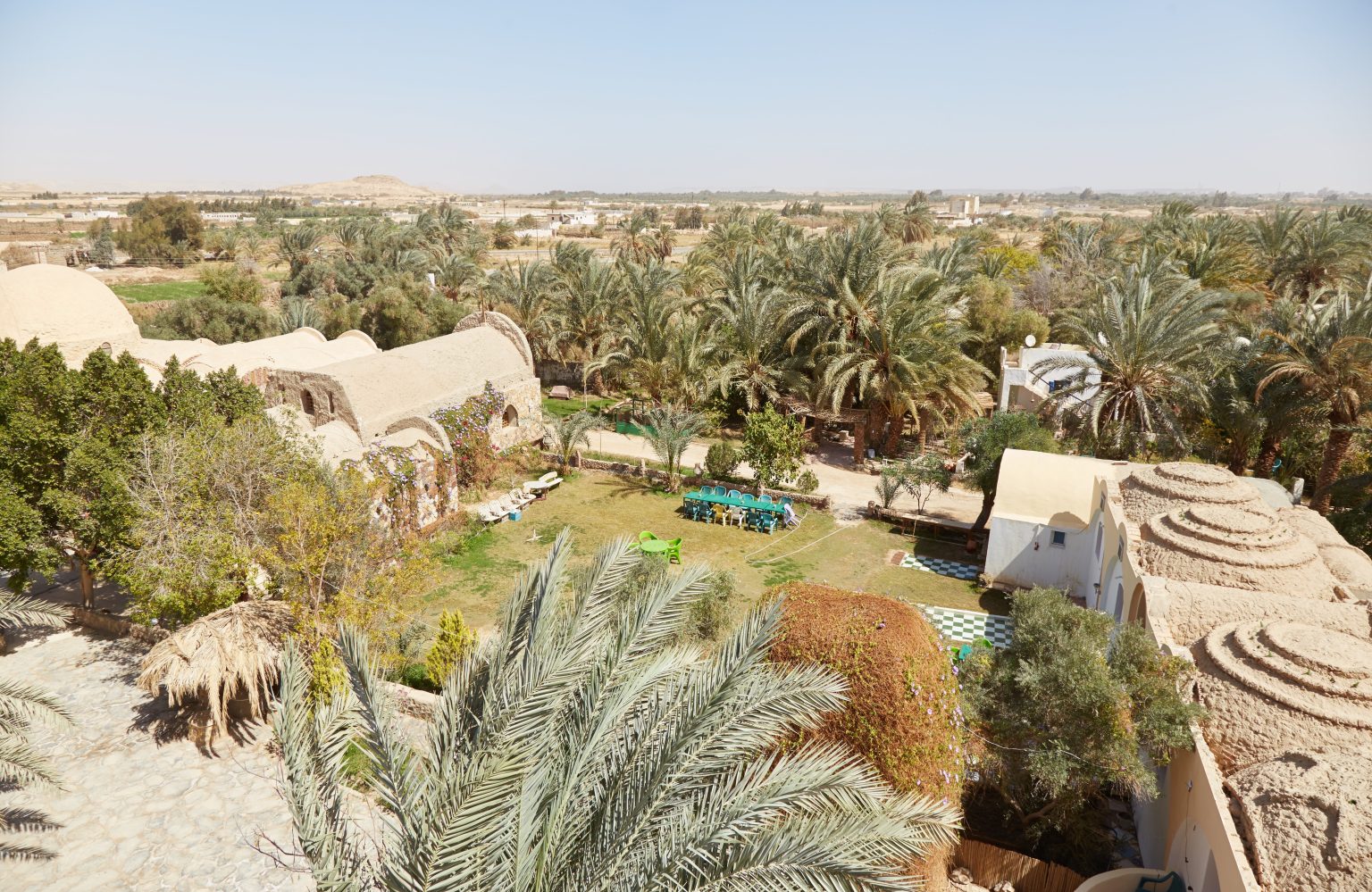 Nature in Egypt’s Desert