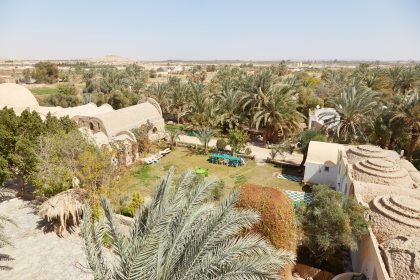 Nature in Egypt’s Desert