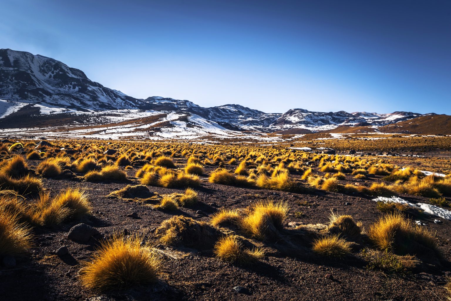Nature n Chile’s Desert