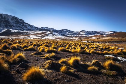 Nature n Chile’s Desert