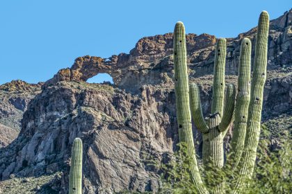 Nature & Wildlife in Mexico’s Desert