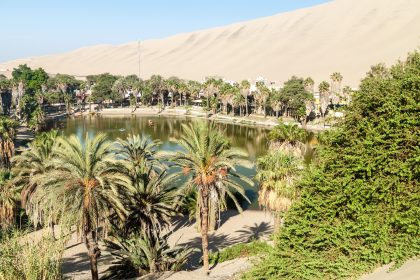 Nature in Peru’s Desert