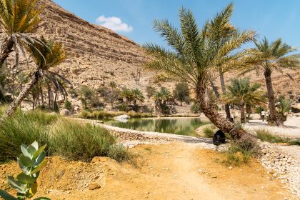 Oman Desert Travel Tips