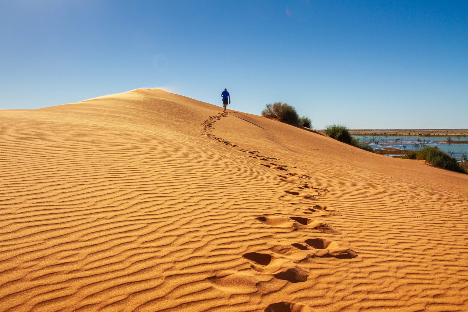 Simpson Desert