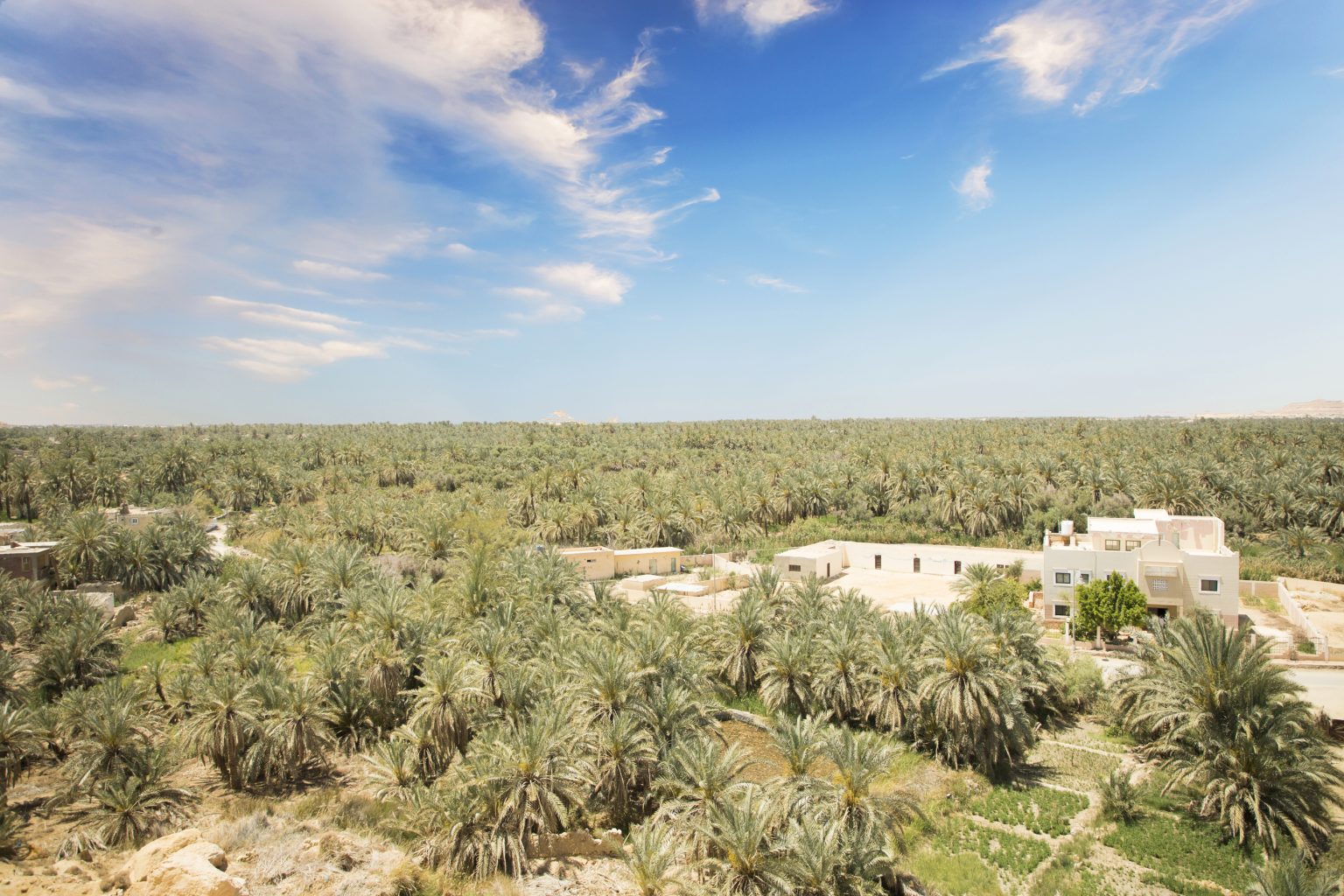 Siwa Oasis in Egypt