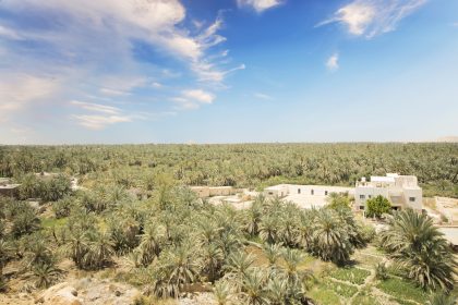 Siwa Oasis in Egypt
