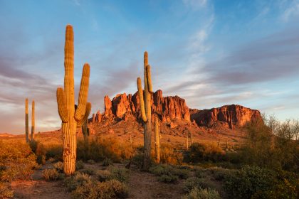 Sonoran Desert