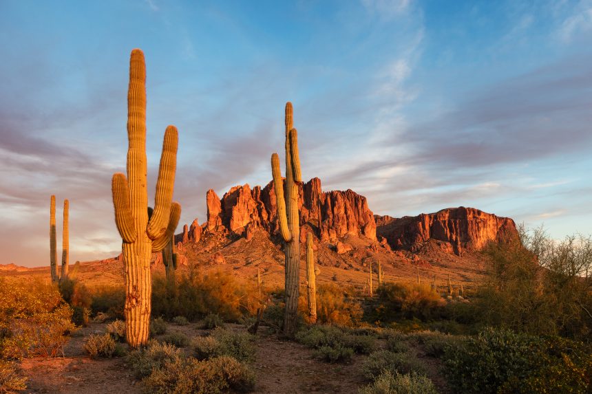 Sonoran Desert