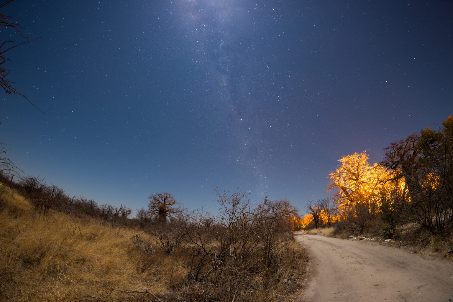 Stargazing the Kalahari