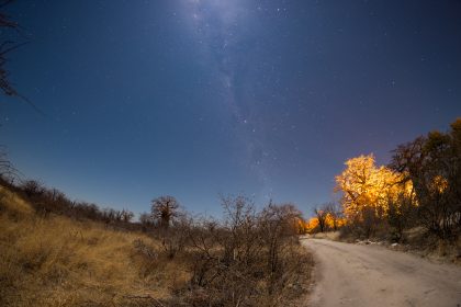 Stargazing the Kalahari