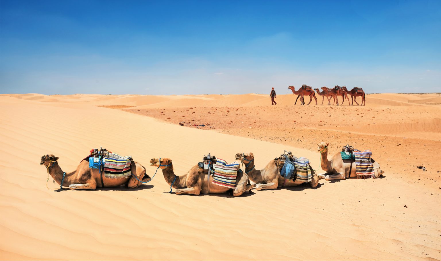 Tunisia Desert Travel Tips