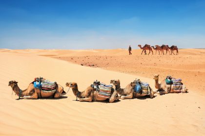 Tunisia Desert Travel Tips