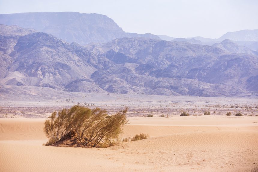 Wadi Araba desert