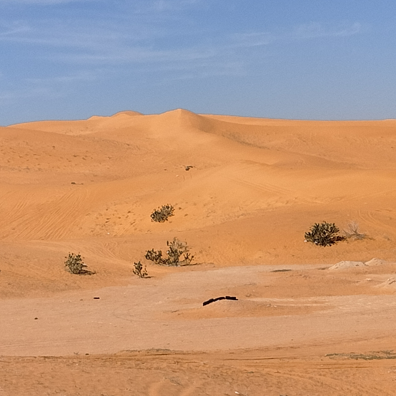 Al-Nafud Desert