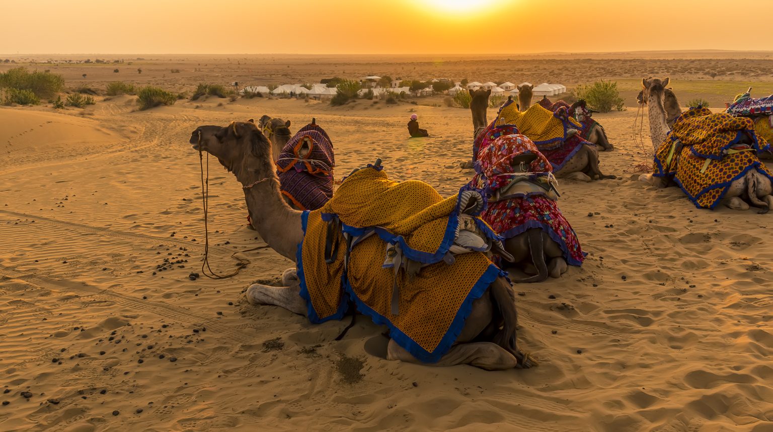 Thar Desert