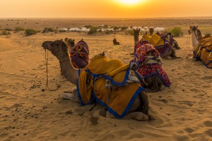 Thar Desert